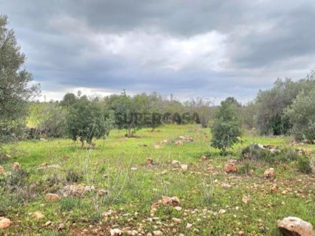 Terreno venda em Loulé, Faro