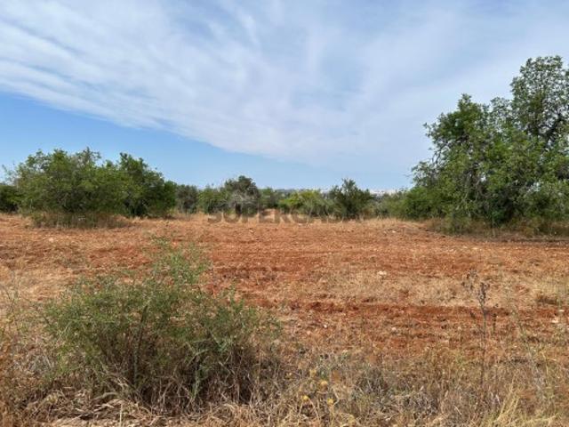 Terreno venda em Faro