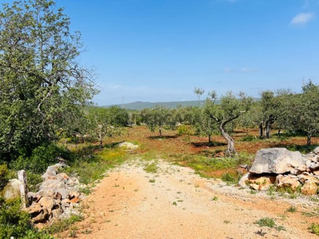 Terreno venda em Loulé, Faro