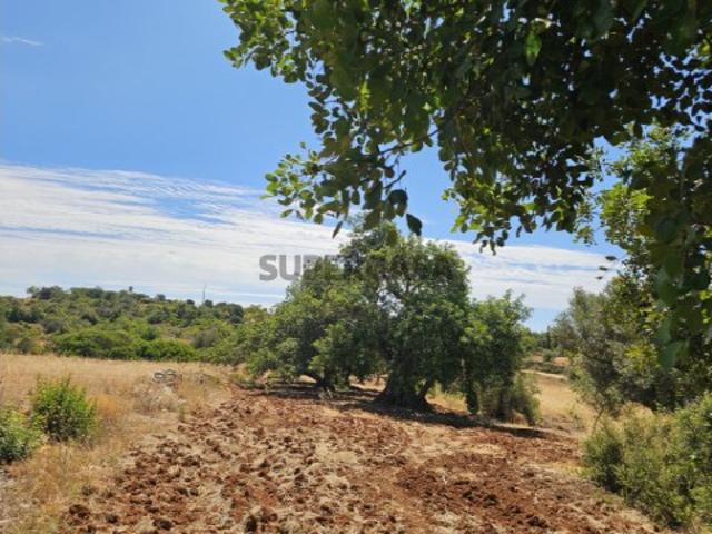 Terreno venda em Albufeira, Faro
