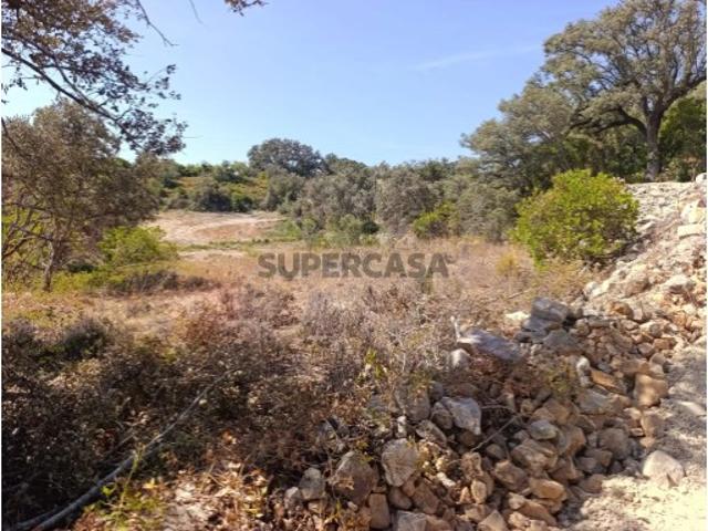 Terreno venda em Santa Bárbara de Nexe, Faro