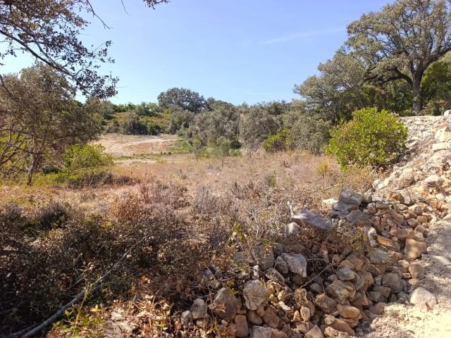 Terreno venda em Santa Bárbara de Nexe, Faro