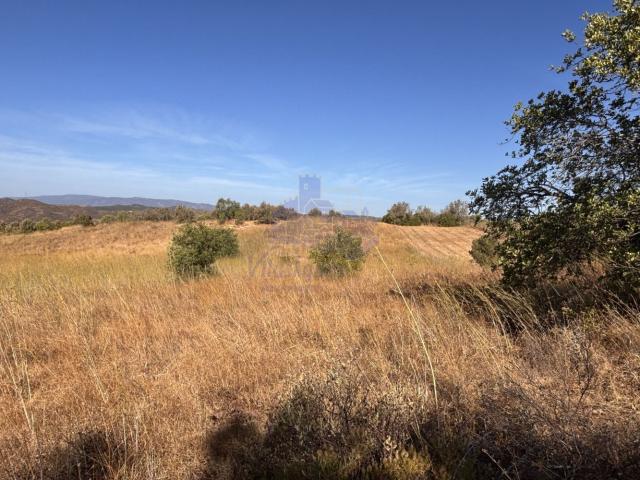 Terreno venda em Silves, Faro