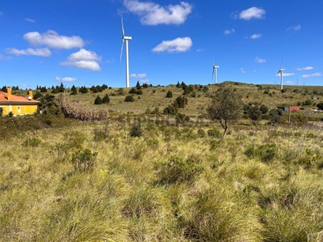 Terreno venda em Ribas de Baixo, Santiago Dos Velhos