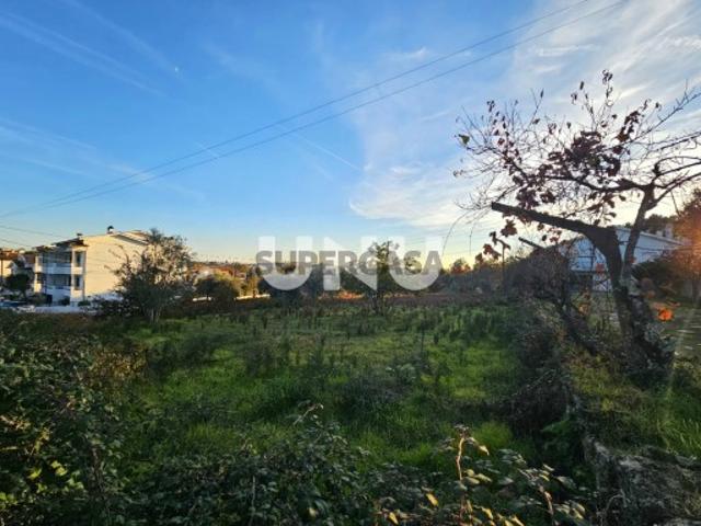 Terreno venda em Viseu