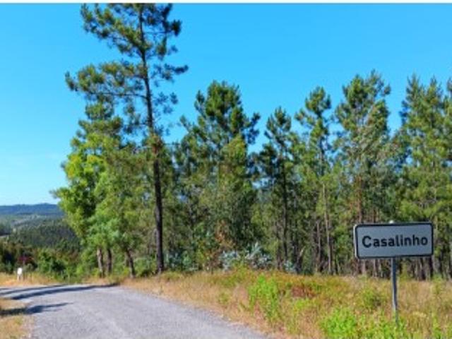 Terreno venda em Mação, Santarém