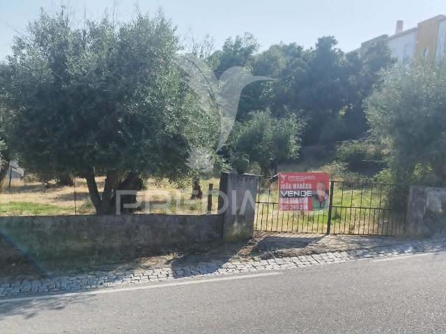 Terreno venda em Portalegre