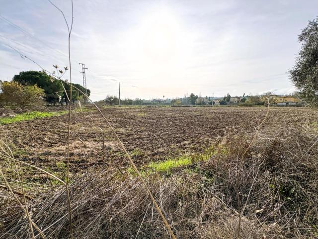 Terreno en venta en Santo Domingo, Tierra de Badajoz