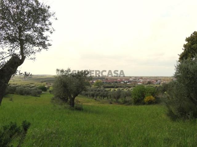 Terreno venda em Reguengos De Monsaraz, Évora