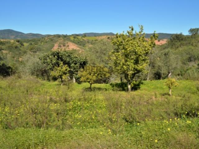 Terreno venda em Santa Catarina da Fonte do Bispo, Tavira