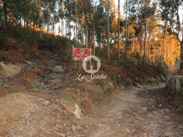 Terreno venda em Fafe, Braga