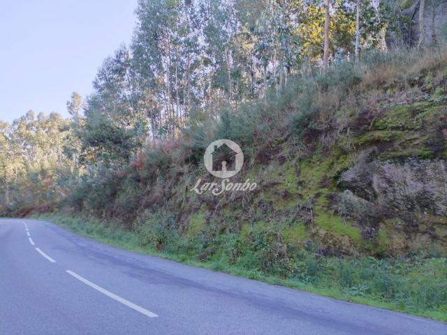 Terreno venda em Montim, Fafe