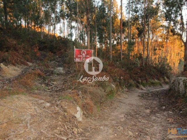 Terreno venda em Fafe, Braga