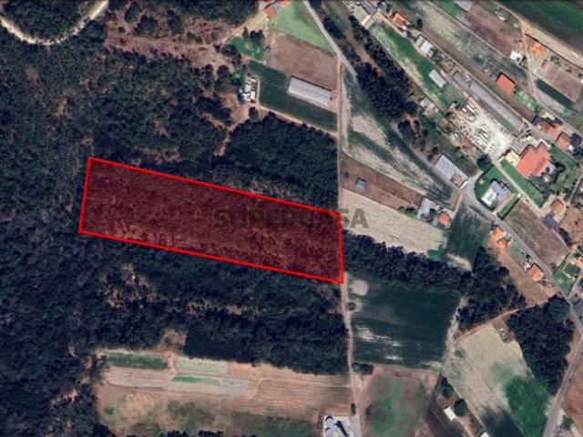 Terreno venda em Quintas do Norte, Torreira