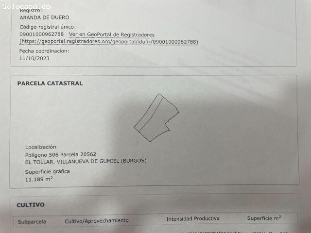 Local Comercial en venta en Villanueva De Gumiel, Castilla y León
