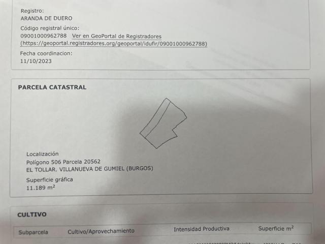 Terreno en venta en Villanueva De Gumiel, Castilla y León