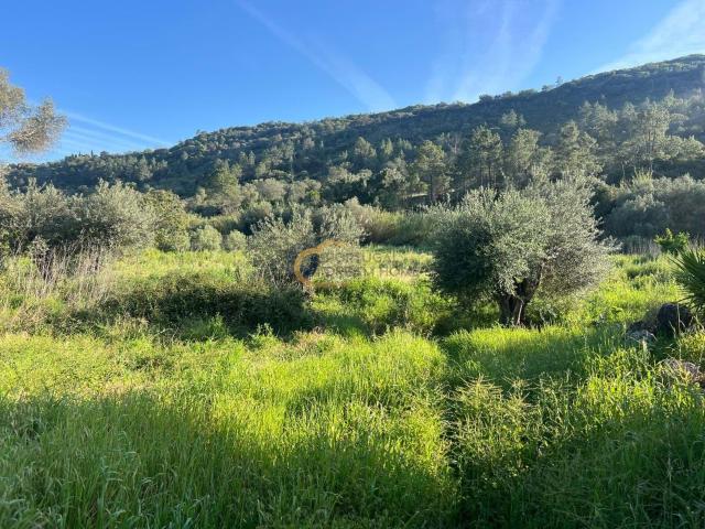 Quinta venda em Loulé, Faro
