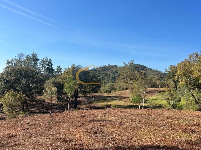 Quinta venda em Loulé, Faro