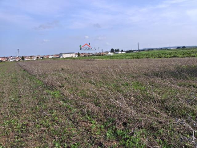 Terreno venda em Ferreira Do Alentejo, Beja