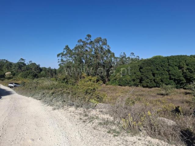 Terreno venda em Casal Serrano, Lourinhã