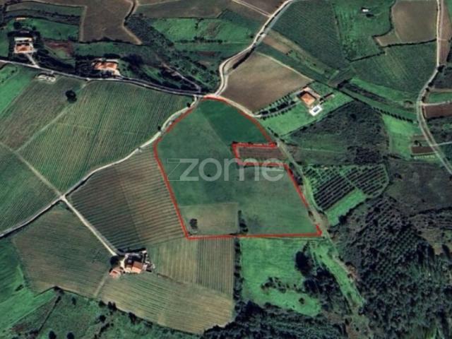 Terreno venda em Palaios, Alenquer