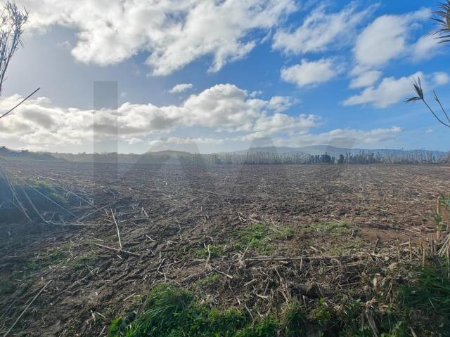 Terreno venda em Açores, Ribeira Grande
