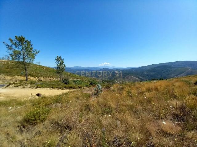 Terreno venda em Castelo Branco, Oleiros