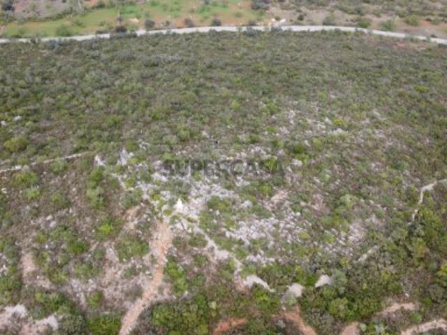 Terreno venda em São Brás De Alportel, Faro