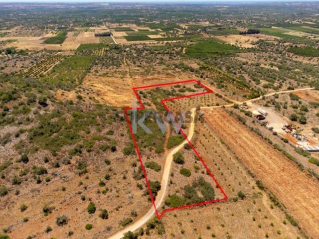Terreno venda em São Bartolomeu De Messines, Faro