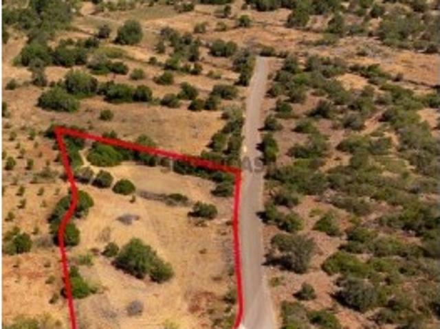 Terreno venda em São Bartolomeu De Messines, Faro