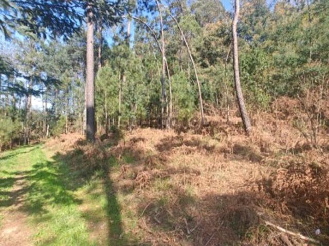 Terreno venda em Sátão, Viseu