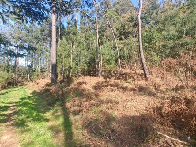 Terreno venda em Sátão, Viseu