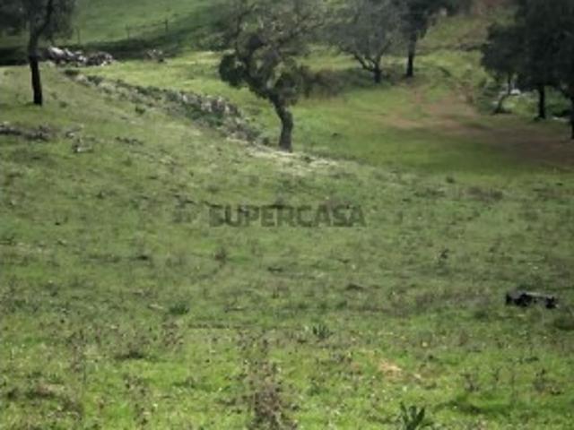 Terreno venda em Santiago do Cacém, Santa Cruz e São Bartolomeu da Serra, Santiago do Cacém