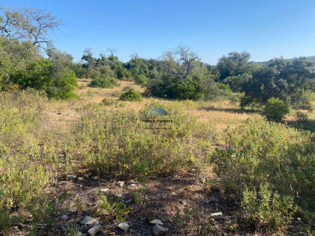 Terreno venda em Cruz da Assumada, Loulé