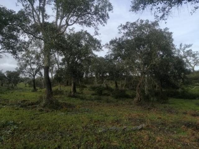 Terreno venda em Valinho, Santiago Do Cacém