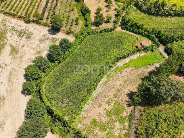 Terreno venda em Fafe, Braga