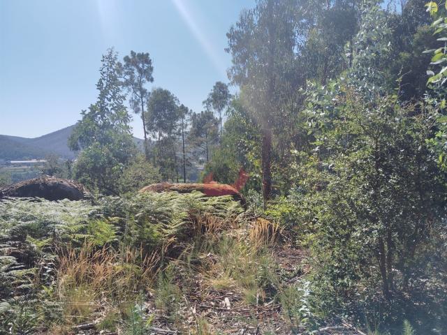 Terreno venda em Castelo De Paiva, Aveiro