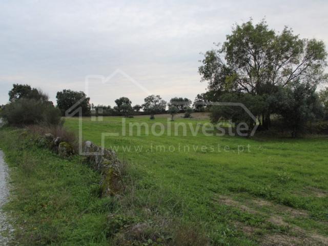 Terreno venda em Castelo Branco, Idanha-a-nova