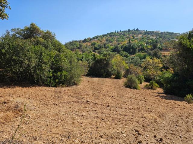 Terreno venda em Loulé, Faro