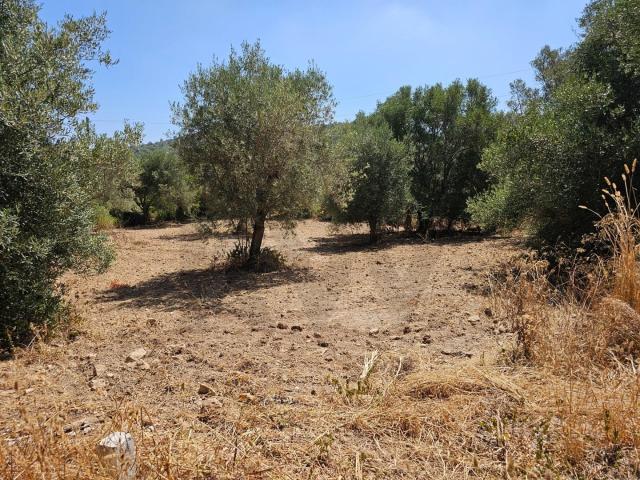 Terreno venda em Loulé, Faro