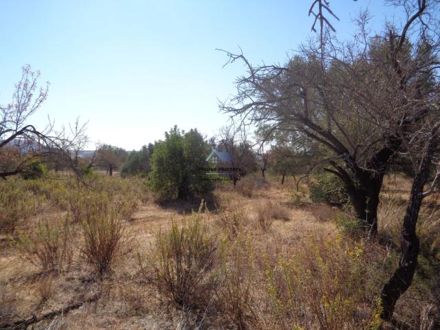 Terreno venda em Loulé, Faro