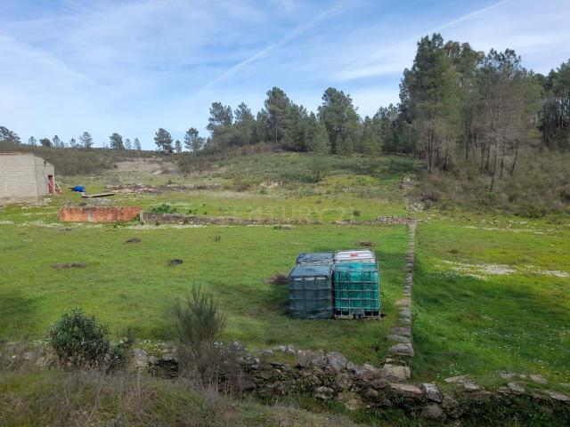 Terreno venda em Castelo Branco
