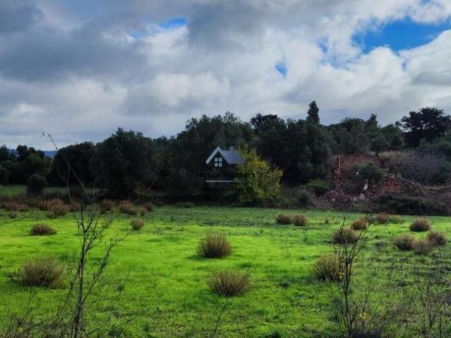 Terreno venda em Loulé, Faro