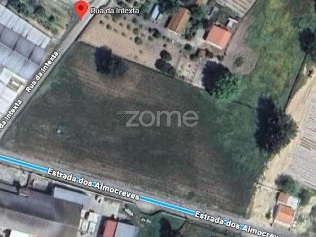Terreno venda em Salvaterra De Magos, Santarém