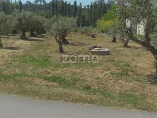 Terreno venda em Pombal, Leiria