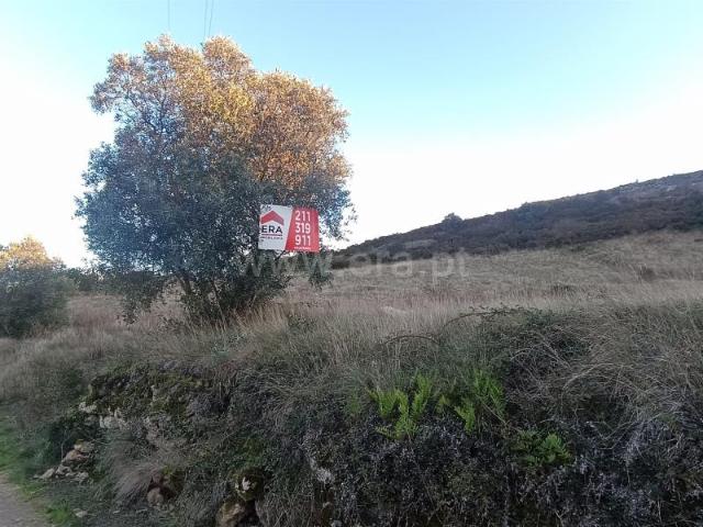 Terreno venda em Arruda Dos Vinhos, S. Tiago dos Velhos