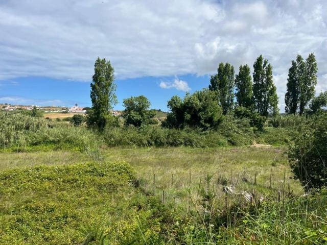 Terreno venda em Mafra, Lisboa