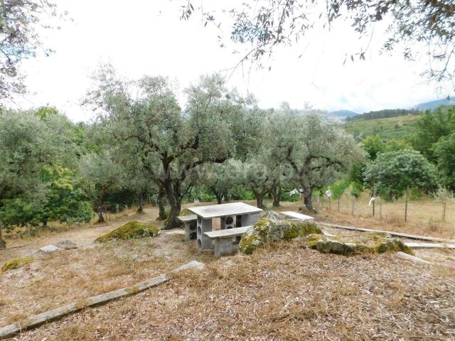 Terreno venda em Guarda, Seia