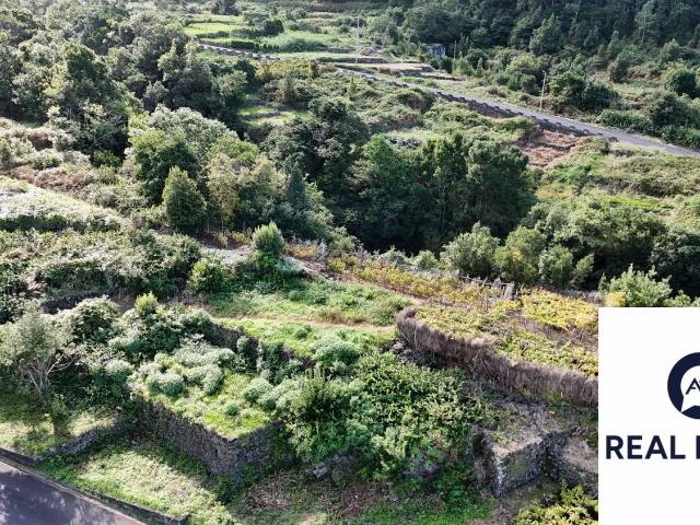 Terreno venda em Chão da Ribeira, Porto Moniz