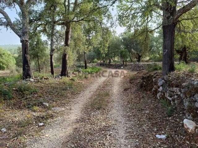 Terreno venda em Casal do João Dias, Torres Novas
